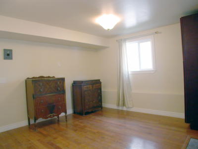 Lower level fireplace